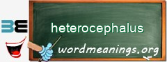 WordMeaning blackboard for heterocephalus